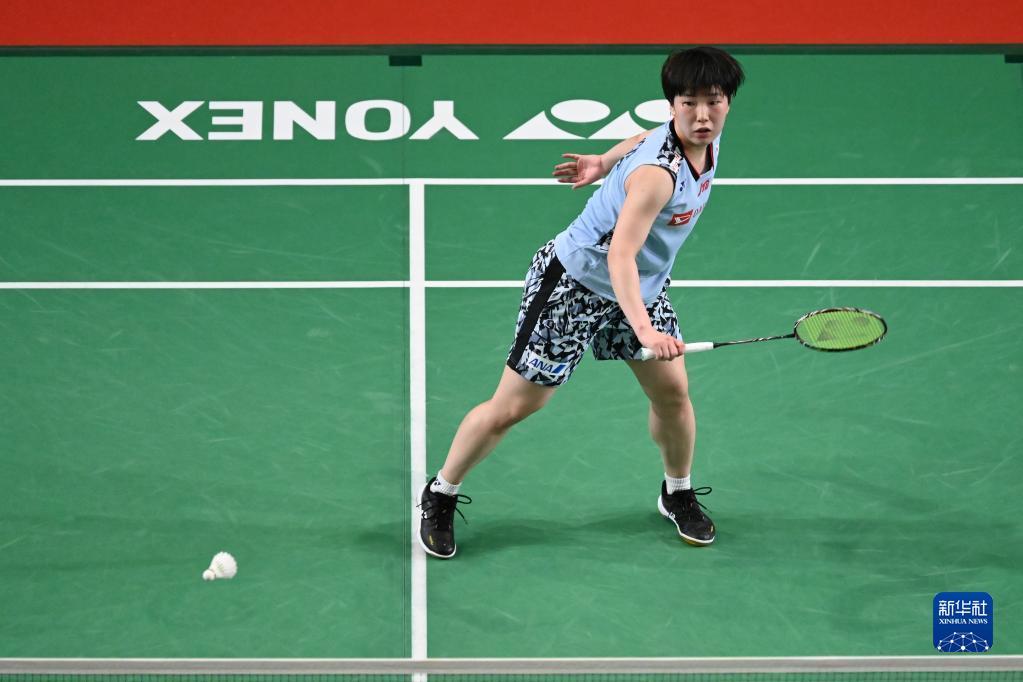 吸引了无数 吸引了无数