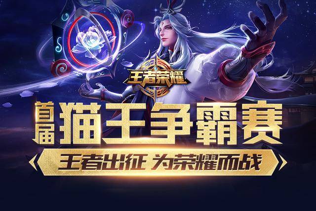 引入更严格